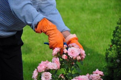 Team inspecting a garden bed mid-maintenance
