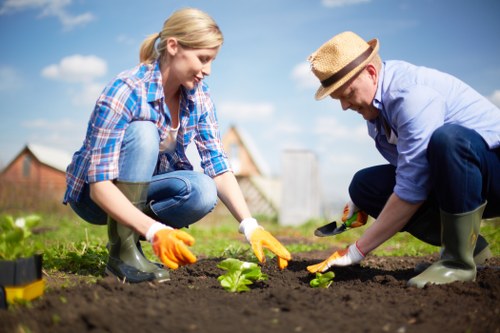 A woman and a man are working together in a garden, planting young green plants into freshly turned dark soil on a clear day with blue sky and some clouds visible. The woman, with blonde hair tied back and wearing a blue plaid shirt, jeans, and yellow gardening gloves, is kneeling on the grass while carefully placing a small plant into the soil. The man, wearing a beige hat, light blue shirt, dark trousers, and green rubber boots, is crouched beside her, helping position another plant. The garden features a well-maintained lawn area at the foreground, with the planting bed bordered by a neatly edged flower bed or mulch. In the background, there are shrubs and a small brick building or shed, indicating a typical residential garden setup. The scene captures a moment of outdoor gardening activity under natural daylight, emphasizing routine garden care and planting work that local gardening services like Garden Maintenance Ilford often support in Ilford or nearby areas.