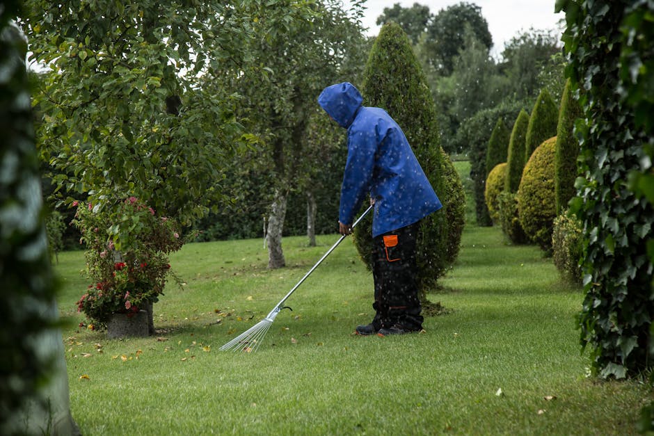 A person wearing a blue raincoat with the hood up and dark trousers is engaged in garden maintenance, using a lightweight leaf rake to clear fallen leaves and debris from a well-maintained grassy lawn